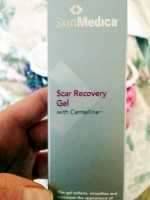 Scar recovery gel