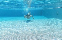 Swimming after tummy tuck photo