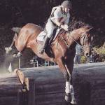 Tummy tuck post op activity horse racing
